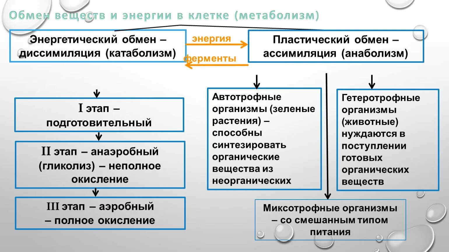 Энергетический этап диссимиляции. Катаболизм энергетический обмен диссимиляция таблица. Ассимиляция и диссимиляция метаболизм. Этапы пластического и энергетического обмена. Процесс диссимиляции этапы.