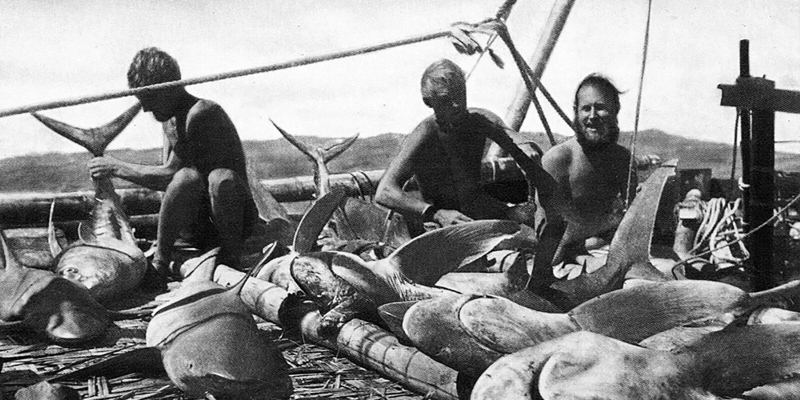 На плоту кон тики. Тур хейердал кон тики. тур хейердал плот кон-тики. тур хейердал 1947.