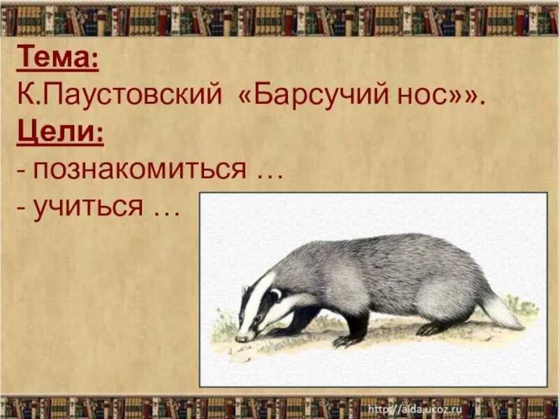 Паустовский барсук барсучий нос. Толстовский барсучий нос. Иллюстрация барсучий нос 3 класс. План барсучий нос Паустовский 3 класс. К паустовский барсучий нос читать