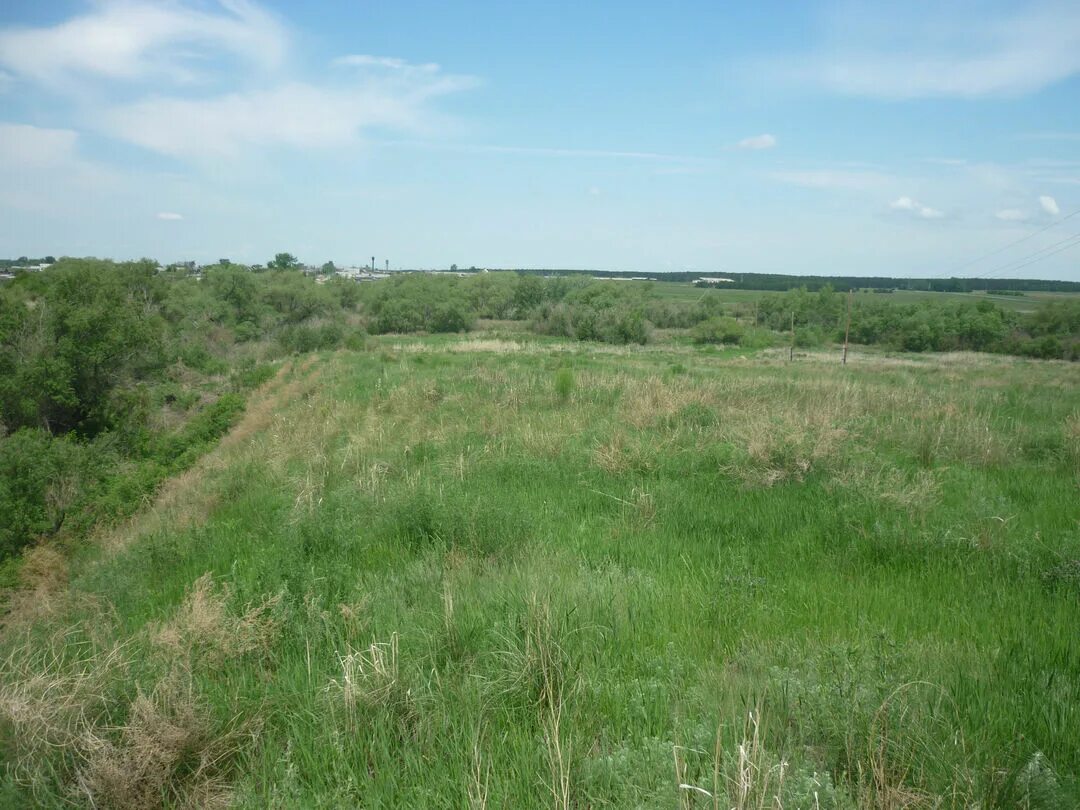 Плотниково притобольный. Село Плотниково Курганская область. Село Плотниково Курганская область Притобольный район. Деревня Обрядовка Курганская область Притобольный район. Плотниковское сельское поселение.