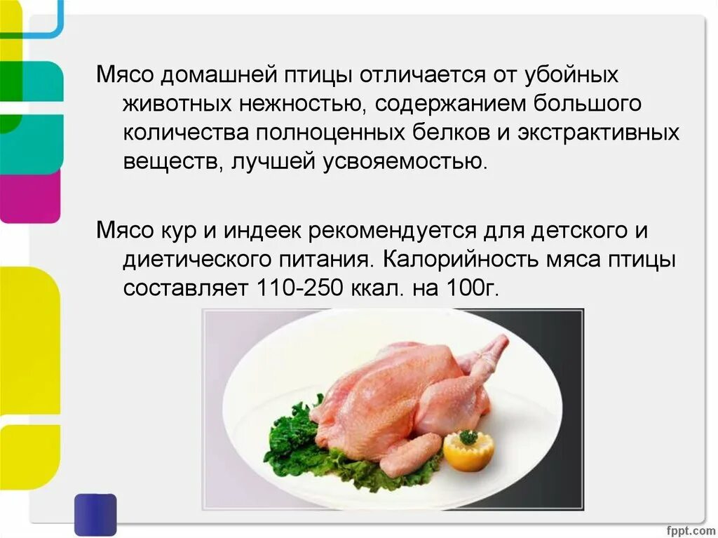 Помогите юэгую добыть мясо птицы 2. Мясо домашней птицы. Презентация на тему мясо птицы. Характеристика домашней птицы. .Классификация мяса домашней птицы, дичи.