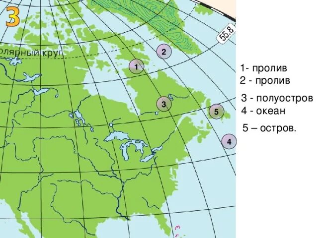 Номенклатура северной америки география 7. Номенклатура по Северной Америке. Номенклатура Северной Америки 7 класс. Номенклатура Северной Америки 7. Номенклатура Северной Америки география 7 класс.