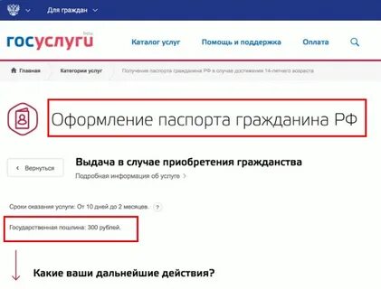 Как подтвердить госуслуги ребенку 14