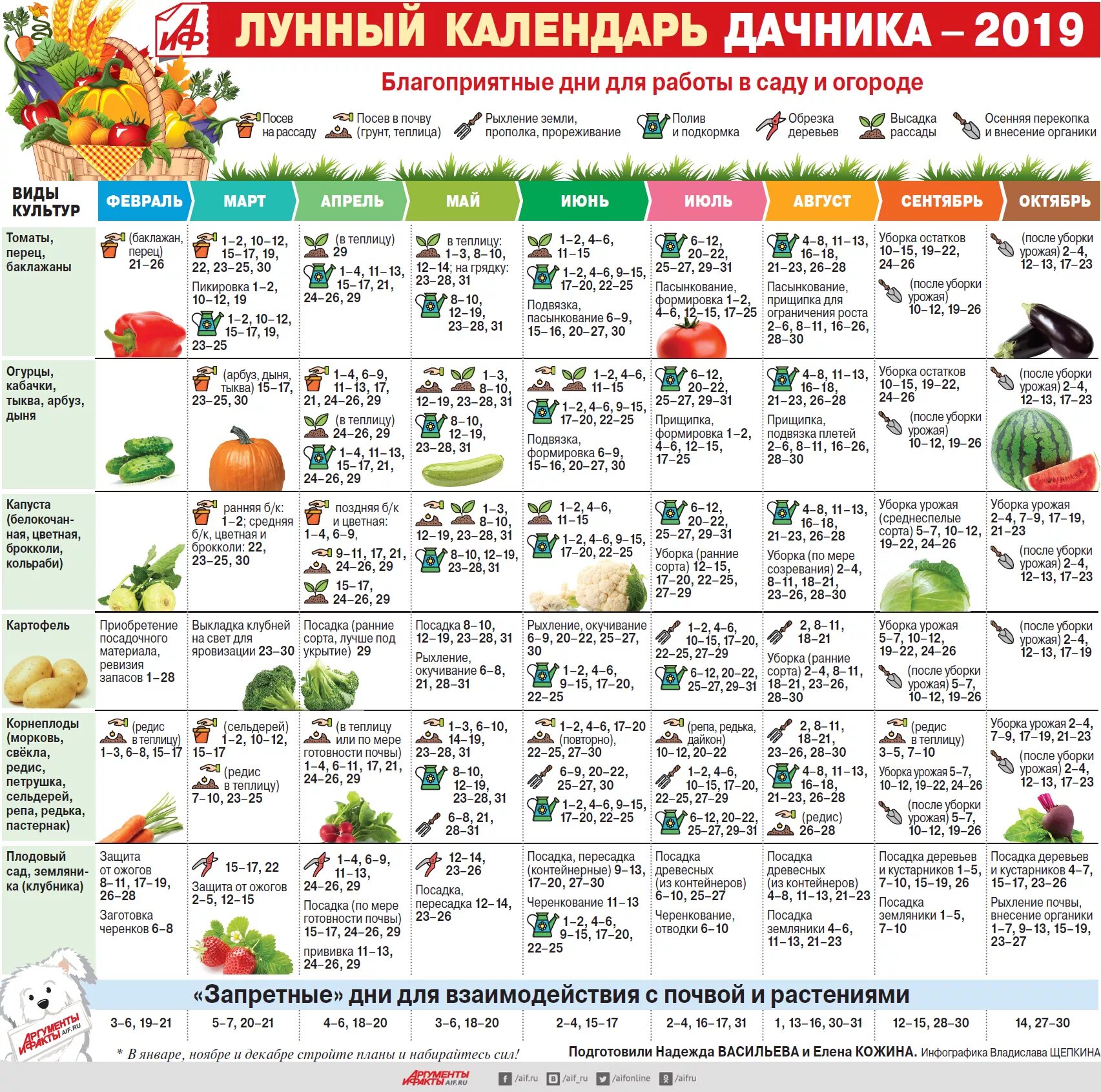 Картинки ЛУННЫЙ КАЛЕНДАРЬ ЛУК НА ЗЕЛЕНЬ