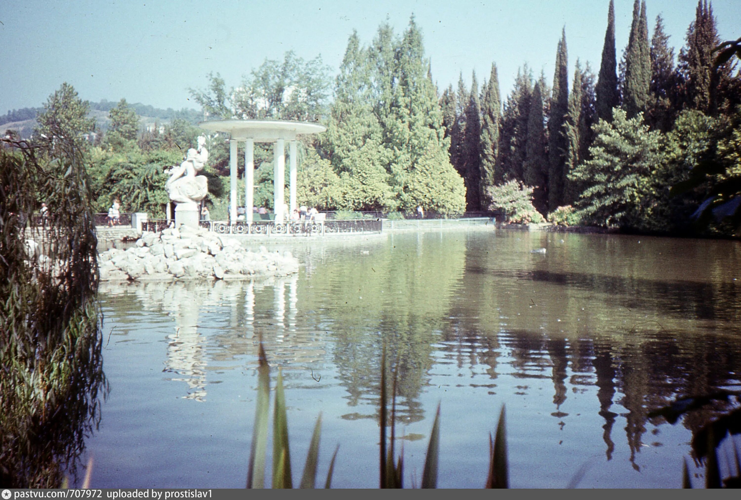 Пруд сочи. Дендрарий сочи пруд. Дендрарий сочи нижний парк. Дендрарий сочи пруд. Санаторий магадан сочи.