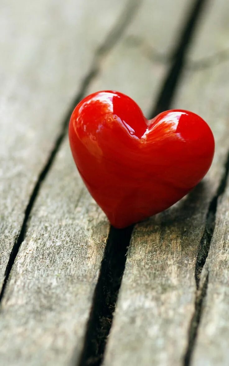Awesome love. Пара на закате. Влюбленные животные. Сердечки для парня. Паттерн сердечки.