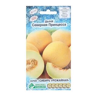 Северная дыня