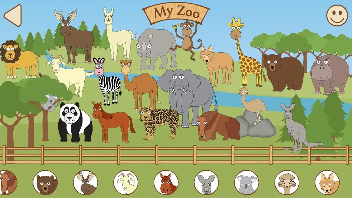 Zoo animals videos