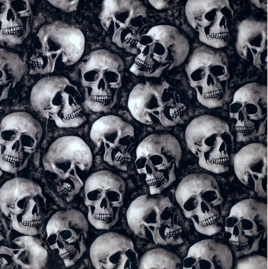 Череп несколько. Аквапринт пленка черепа. череп на стене. стена черепов. черепа много.