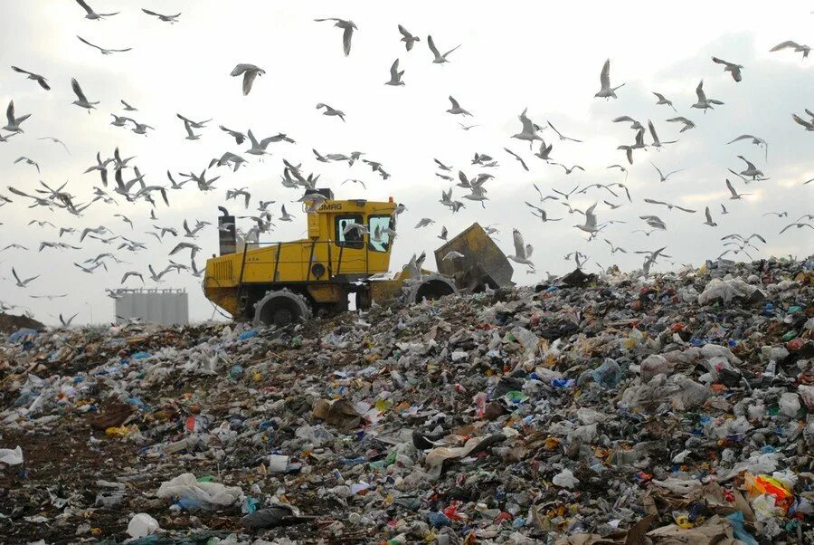 Производственными отходами. Белореченский мусорный полигон. Свалки твердых бытовых отходов США. Утилизация отходов захоронение.