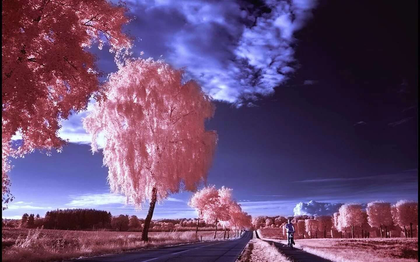 Необычные картины. Облака интересной формы. Необычные хеши. Необычные облака в небе. Необыкновенная совершенная.