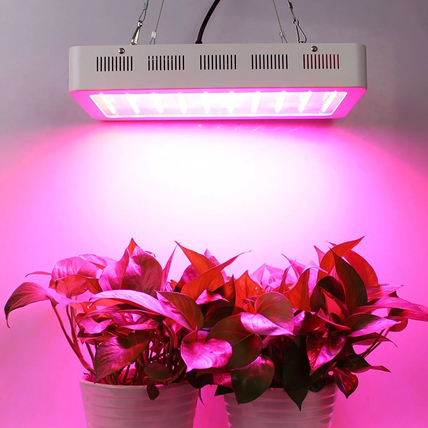 Led grow plant. Led Full Spectrum 1200w для теплицы. Led лампы для растений 600w 220v. Full Spectrum led grow Light. Led grow Light ap004.