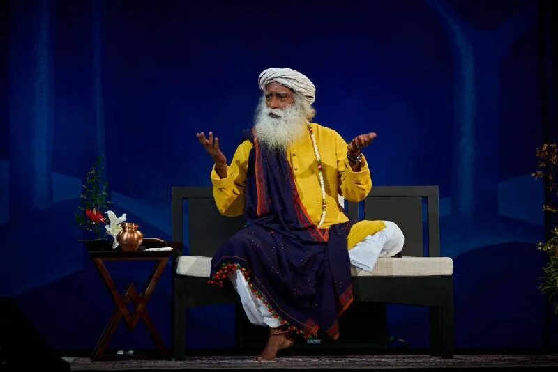 шамбхави махамудра. шамбхави мудры. шамбхави махамудра практика. шамбхави мудра садгуру. садхгуру шамбхави махамудра.