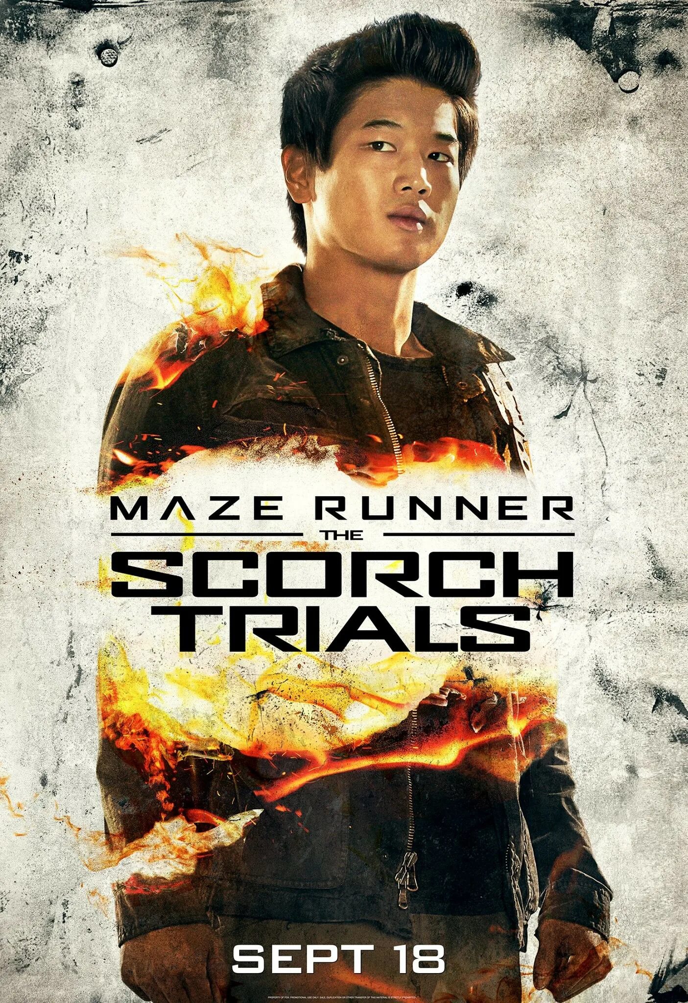 Maze runner 2. The Maze Runner (2014) Постер. Бегущий в лабиринте испытание Минхо. Бегущий в лабиринте 2015 Постер.