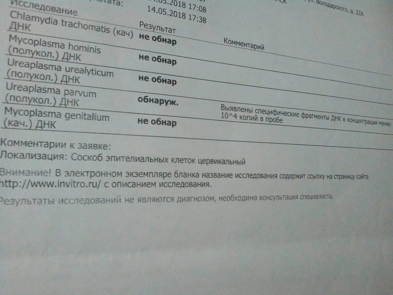 Ureaplasma parvum у мужчин что это. ДНК Ureaplasma parvum. ДНК Ureaplasma parvum / Ureaplasma urealyticum. Ureaplasma urealyticum+parvum (полукол.) ДНК. Уреаплазма уреалитикум и парвум инвитро.