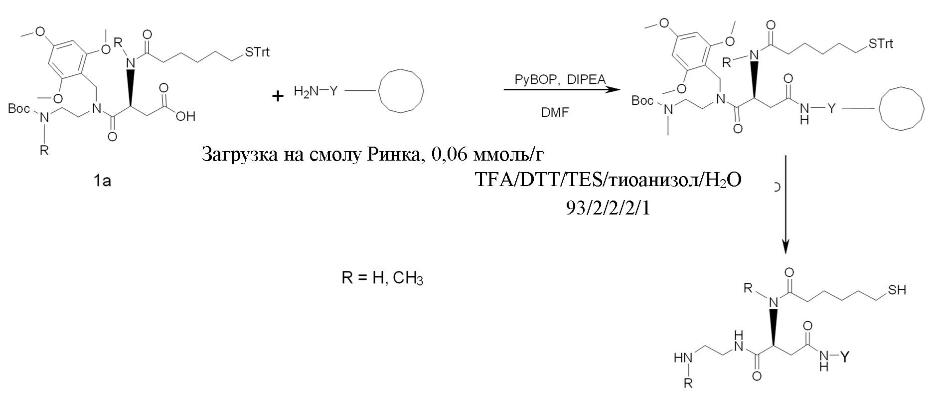 Синтез полипептида происходит. Мэррифилд твердофазный Синтез пептидов». Поделки из пептидной смолы. Линкер в химии. Смола Меррифилда.