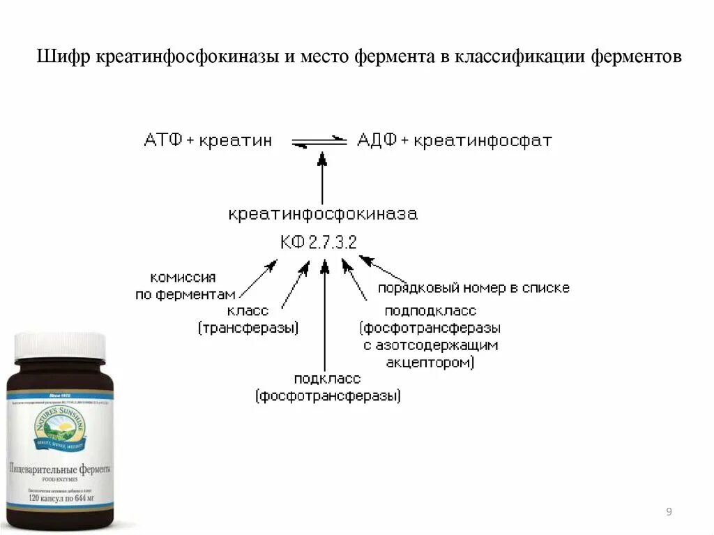 Классификация ферменты и шифр ферментов. Лактатдегидрогеназа (ЛДГ) шифр фермента. Шифр ферментов на примере ЛДГ.. Классификация ферментов классы подклассы подподклассы. Код фермента