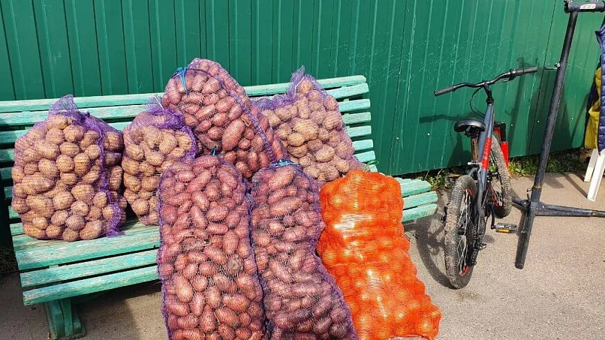 10 килограмм картошки. Мобилизация на картошку.