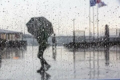 Прошумел ветер донес серебряные брызги дождя синтаксический