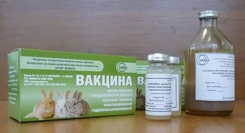 Прививки крольчихам