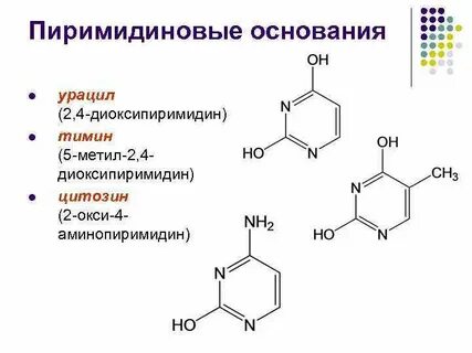 Урацил это