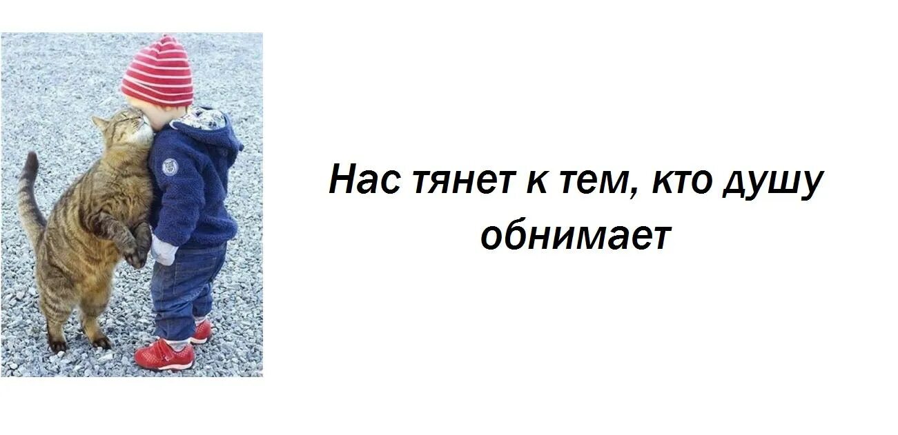 Кто душой обнимает. Нас тянет к тем кто душу обнимает. Нас тянет к тем кто душу обнимает целует сердце мысли понимает. Нас тянет тем кто душу обнимает нас тянет к тем. Нас тянет к тем кто душу