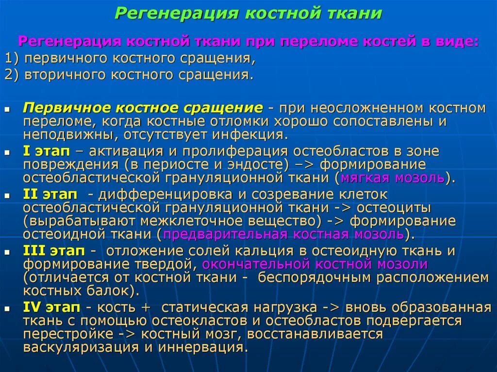 Фазы регенерации костной ткани. Этапы регенерации костной ткани. Сроки регенерации костной ткани. Стадии формирования костной мозоли.