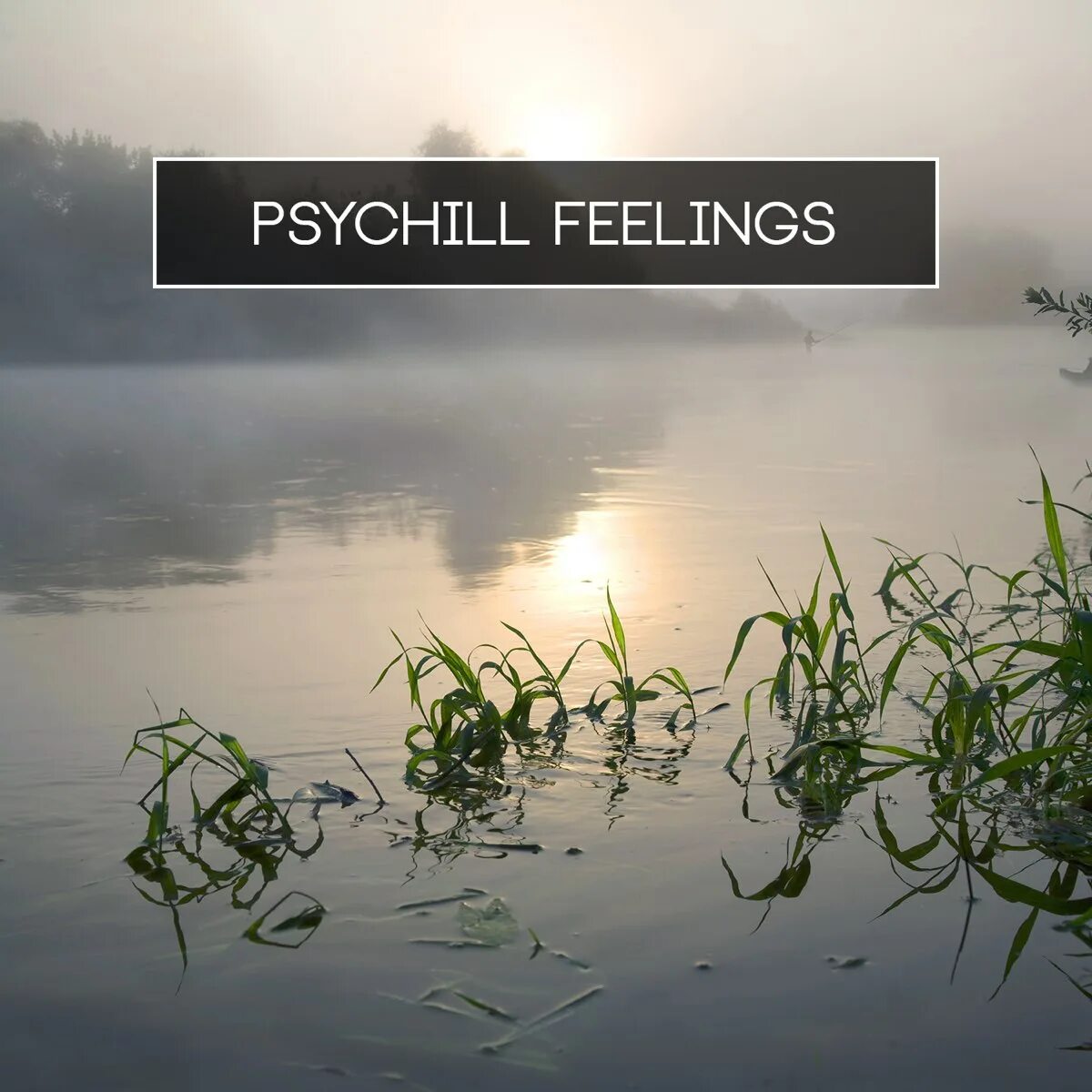 Psychill слушать. Feelings минус