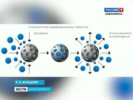 Лимфология новосибирск