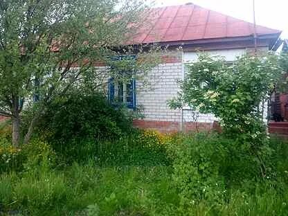 Авито рассказово объявления разное