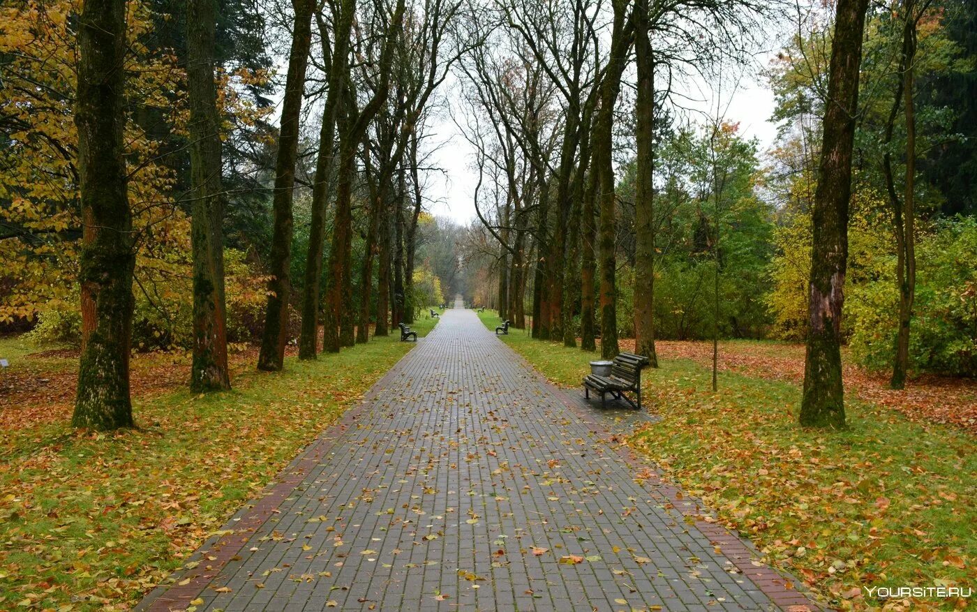 Воскресенье парк. Музей петергоф в санкт-петербурге анализ. Смирнова о а петергоф. Воскресный парк. Ботанический сад кипр cyherbia.