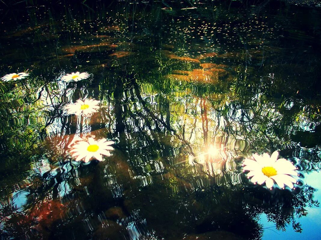 Весна лужи солнце. Луч солнца и лужи. Весна лужи солнце. Отражение солнца в луде. Отражение в луже.