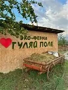 Ферма гуляй поле