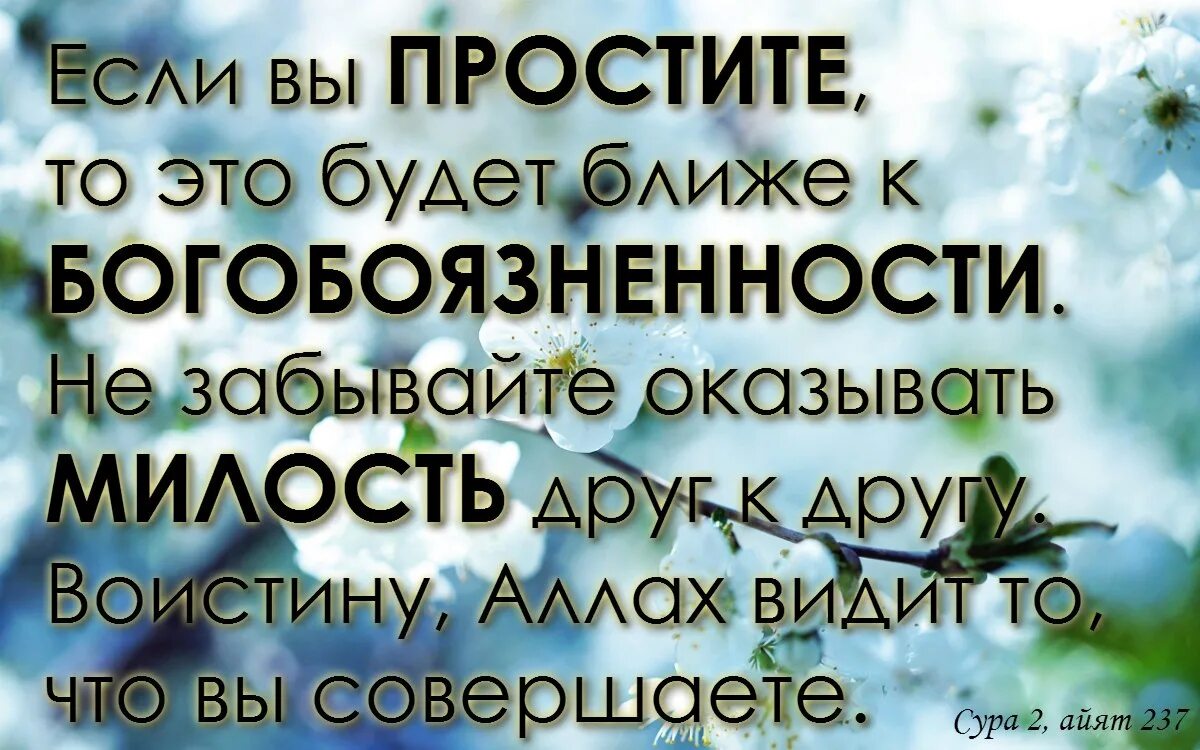 Мусульманское прощение. Прощать в Исламе. Прощение в Исламе.