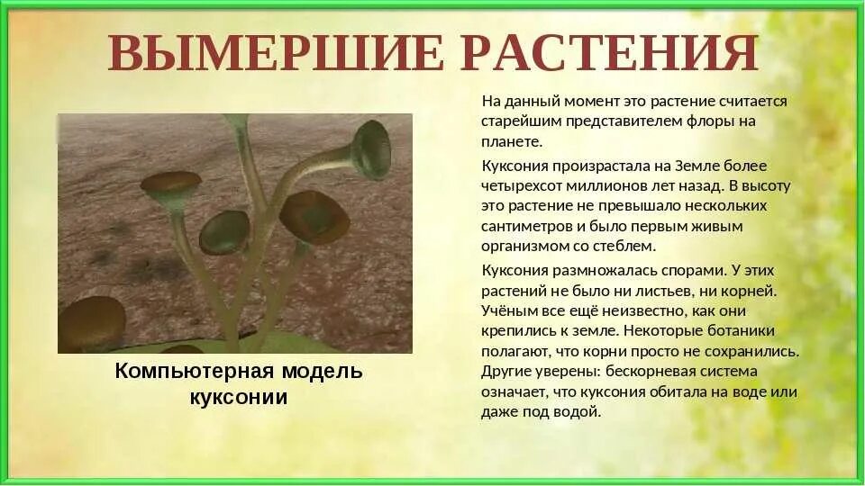 Исчезнувшие виды растений по вине человека