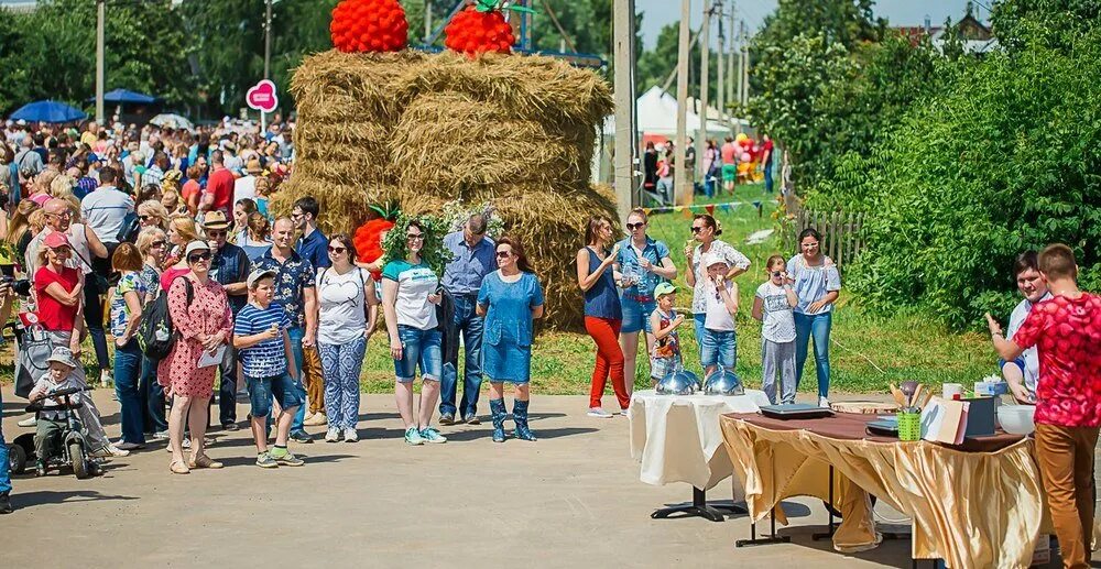 Погода село новоселки. Фестиваль малины в Новоселках. Праздник малины в Новоселках. Праздник малины в Новоселках в 2022. Праздник в Новоселках Рыбновский район.