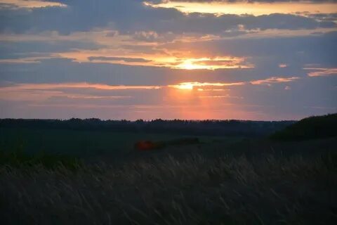 Погода село болото горшеченский курской