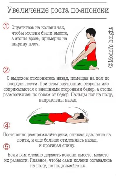 Метод увеличения пирога. Японская методика увеличения роста. методика увеличения роста человека. увеличить рост. упражнения берга для увеличения роста.