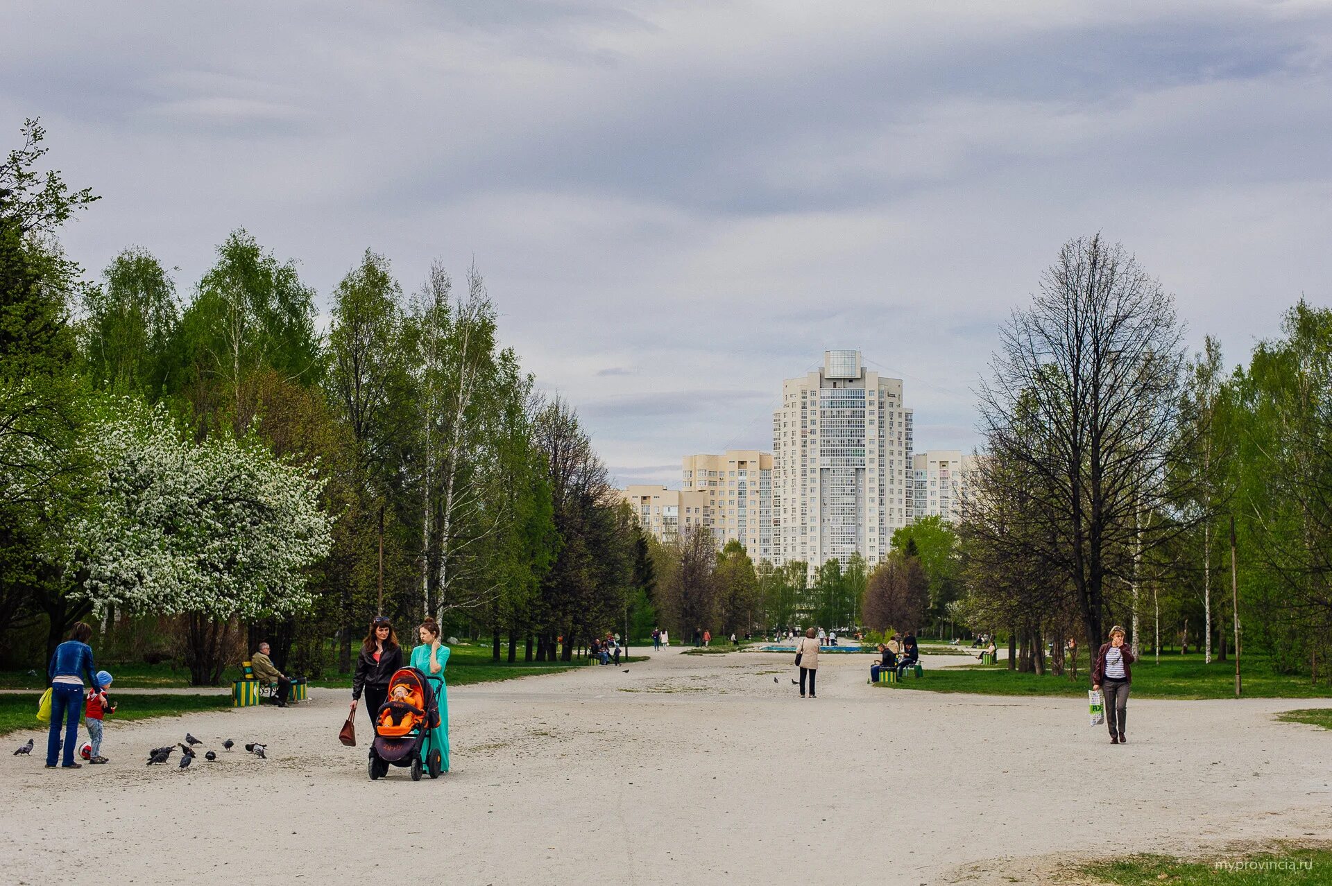 Чкаловский парк