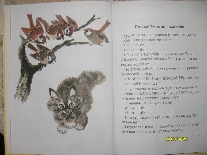 Почему тюпа не ловит птиц. Е. и. чарушина &quot;почему тюпа не ловит птиц&quot;. евгений чарушин почему тюпа не ловит птиц. книга чарушин почему тюпа не ловит птиц. чарушина почему тюпа не ловит птиц.
