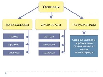 Какие структуры образованы