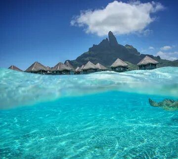 Обои для рабочего стола. вода, прозрачность, океан, лагуна, бунгало, Tahiti...