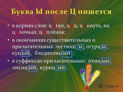 Как пишется цыган