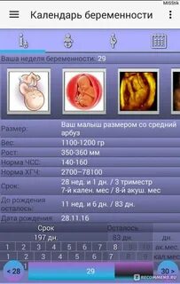 Календарь беременных по неделям рассчитать