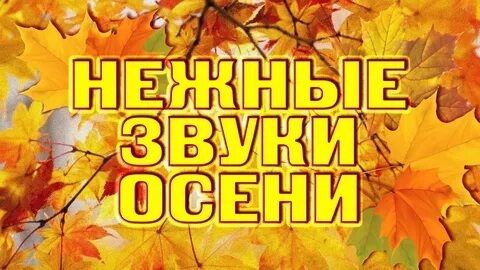 1 осень звуки