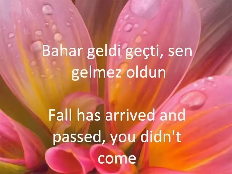 O henry viata lui ppt fon. Constantin sen gelmez oldun. Constantin sen gelmez oldun. Sen gelmez oldun ноты. Constantin sen gelmez oldun.