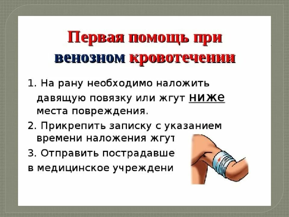 Правила наложения жгута при венозном кровотечении. Накладывание жгута при кровотечении. Порядок наложения давящей повязки и кровоостанавливающего жгута. Где накладывать жгут при венозном кровотечении. Несдавленный