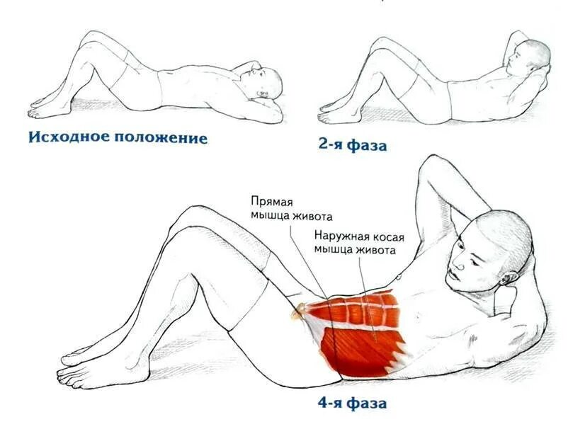 Скручивание с поворотом корпуса пресс. Упражнения на пресс скручивания с поворотом корпуса. Упражнение скручивание с поворотом корпуса. Скручивания с поворотом корпуса (диагональное).