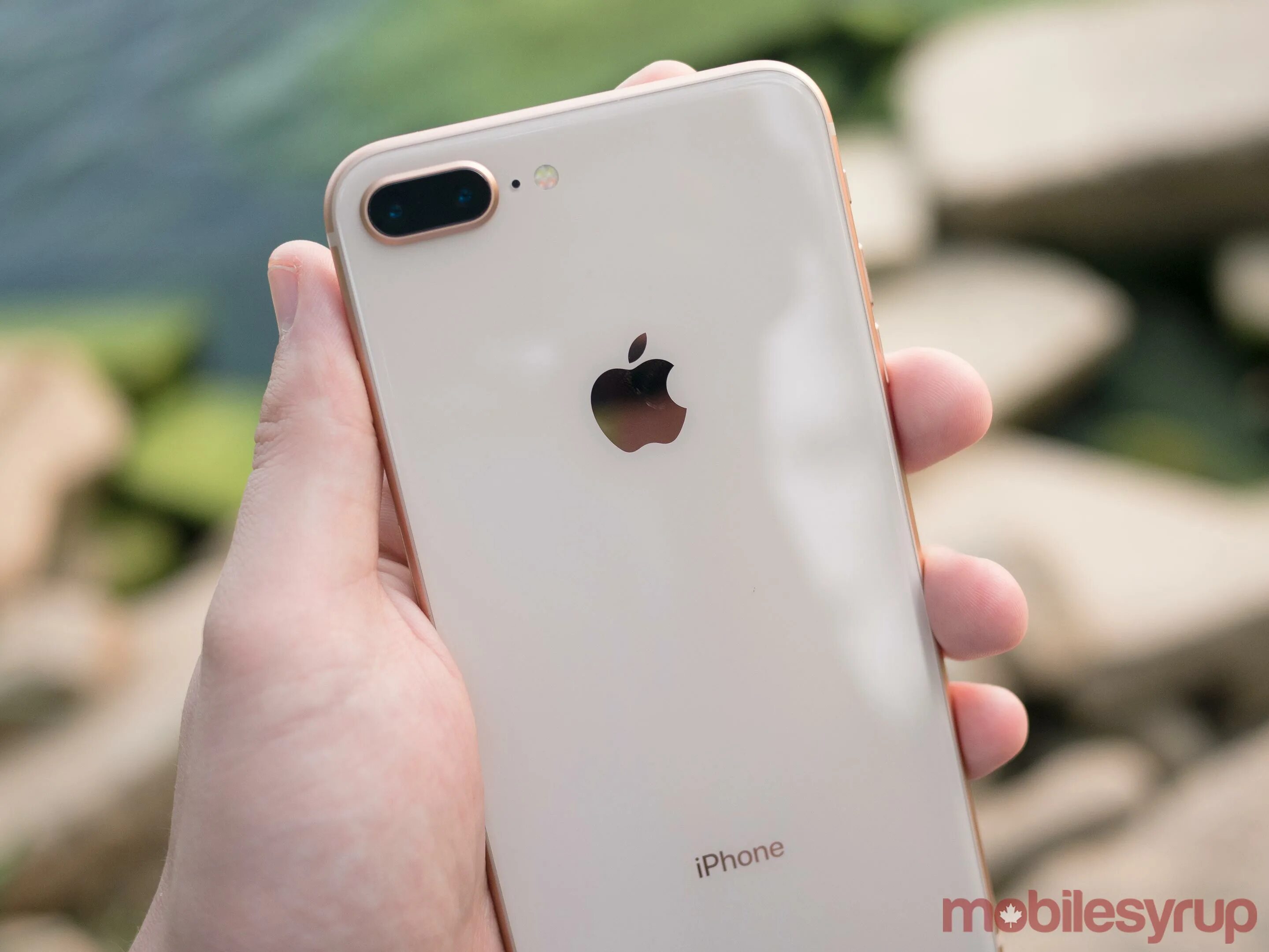 Iphone 8 plus дата выхода. Apple iphone 8 plus. iphone 8 plus gold. iphone 8s plus. iphone 8 plus 64gb.
