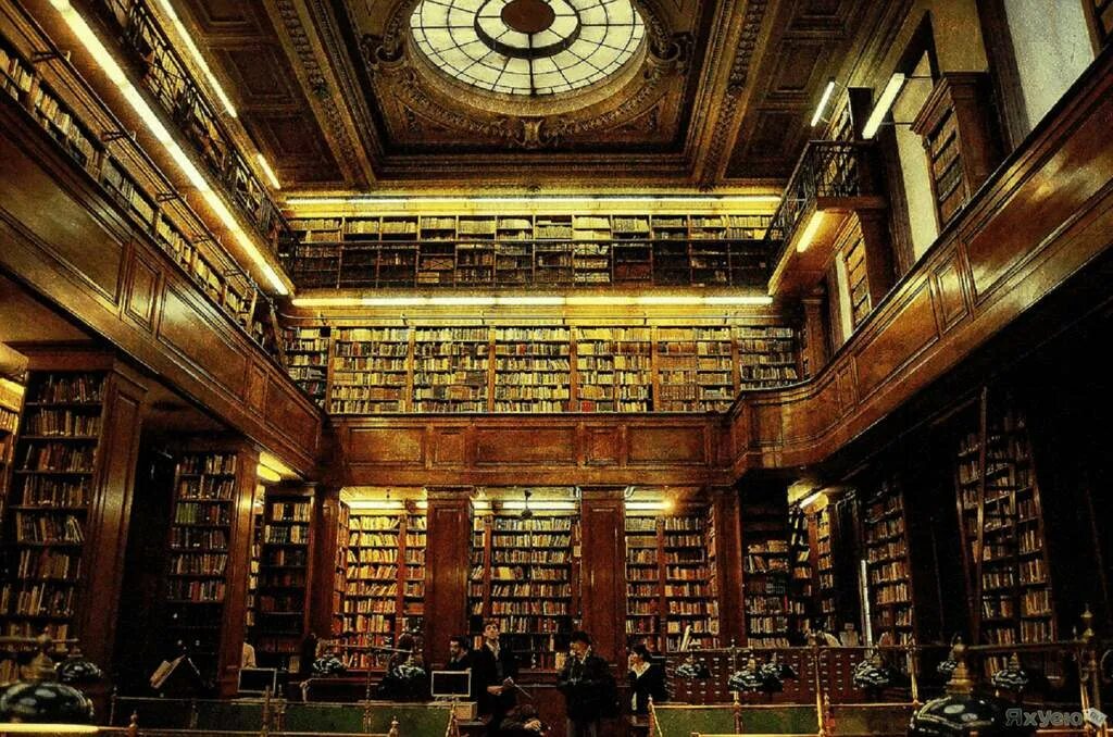 Бодлианская библиотека гарри поттер. Бодлианская библиотека в оксфорде гарри поттер. Библиотека в замке. Парк гарри поттера кабинет дамблдора орландо. Дублинская библиотека тринити-колледжа гарри поттер.